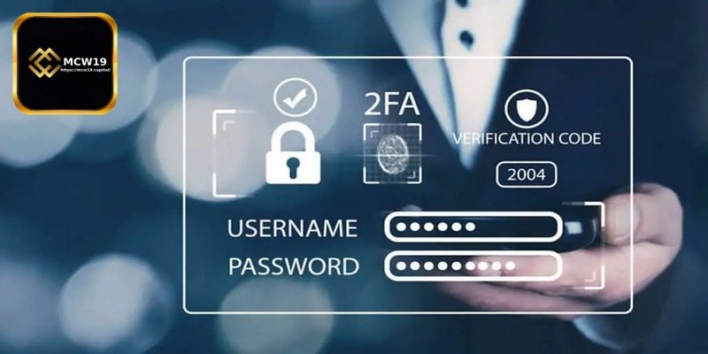 How to recover betting accounts - Notes when restoring MCW19 account